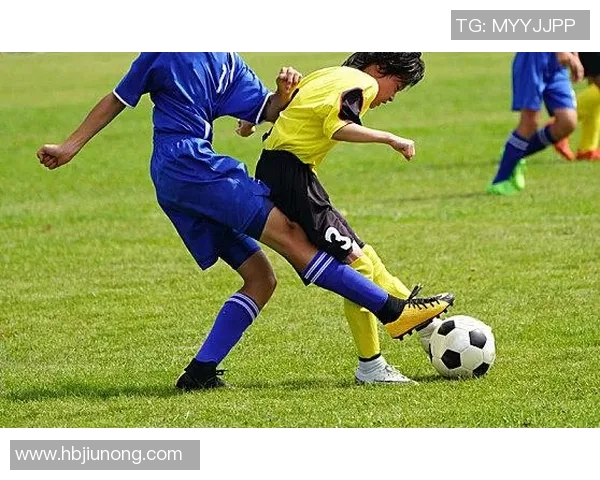 足球与篮球的魅力对决探讨运动精神与团队合作的重要性