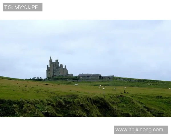 北爱尔兰与奥地利激战正酣谁将赢得这场关键对决